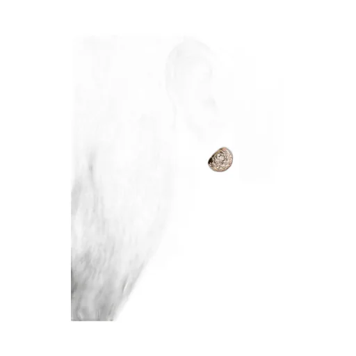 Logo Earrings