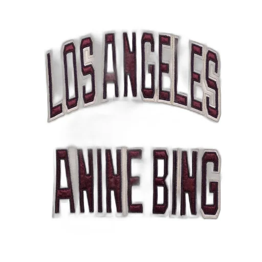 Anine Bing Harry Shrunken Logo Sweatshirt