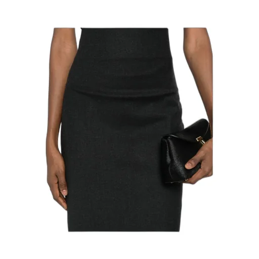 Alberta Ferretti Stretched Long Skirt