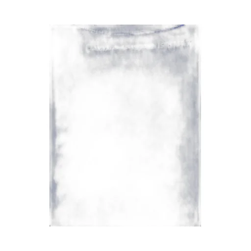Comme Des GarÇOns Shirt Long Sleeve Crewneck T-Shirt