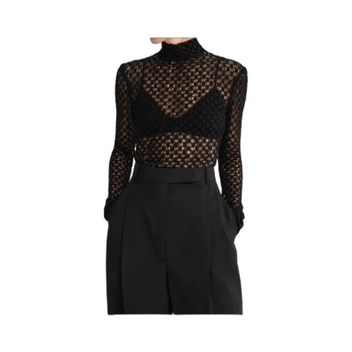 Long-Sleeved Semi-Transparent Top