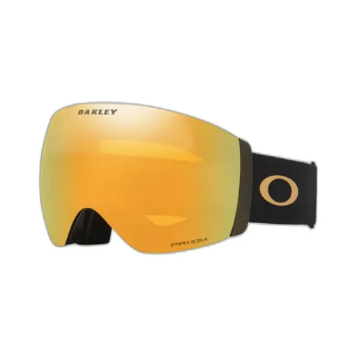 Flight Deck™ Pro L Ski Goggles