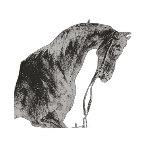Lili Horse-Print T-Shirt