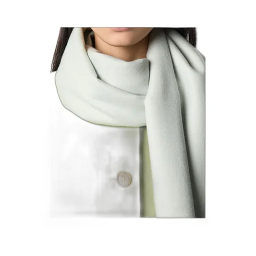 Loro Piana Two Tone Scarf