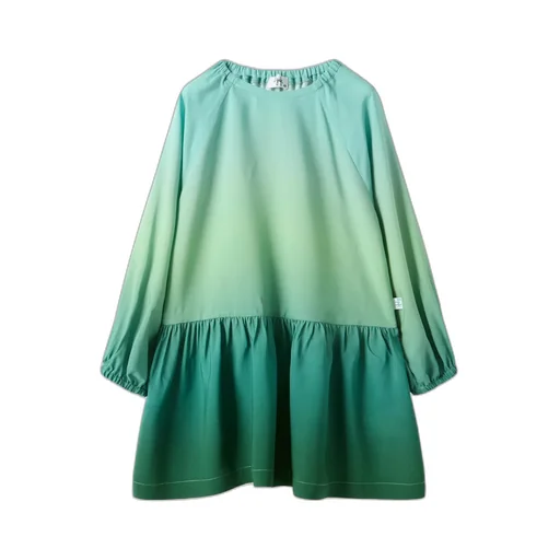 Ruffled Dress