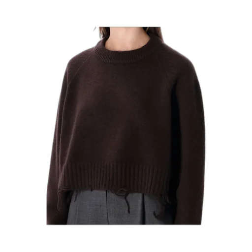 Low Classic Damaged Cropped Knitted Sweater