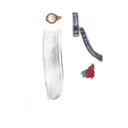 Farm Rio Floral Embroidered Jeans