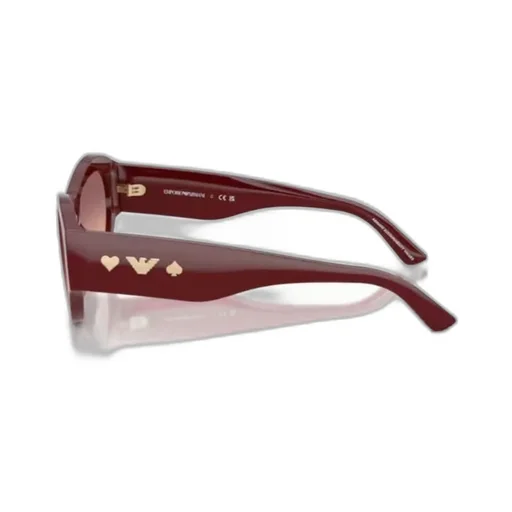 Full Frame Sunglasses