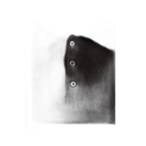 Dior Icons Long-Sleeved Polo Shirt