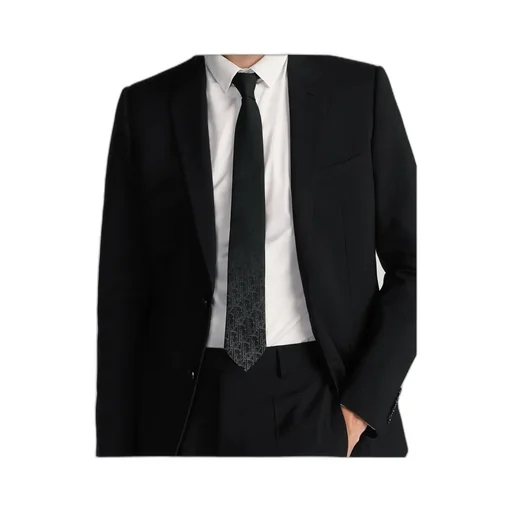 Dior Homme Gradient Dior Gravity Tie