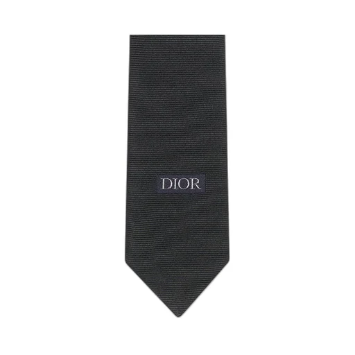 Dior Homme Gradient Dior Gravity Tie
