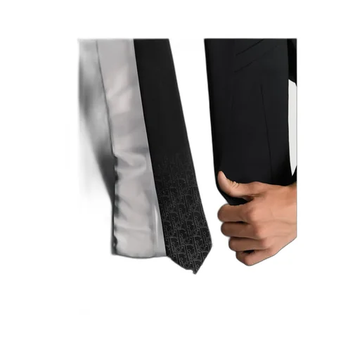 Dior Homme Gradient Dior Gravity Tie
