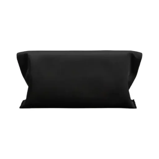Roger Vivier Trompette Chain Clutch Bag