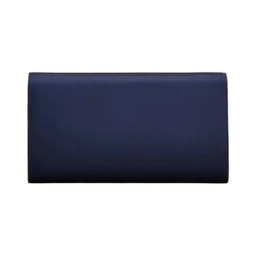 Efflorescence Clutch In Satin