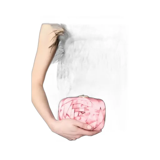 Rose Vivier Clutch In Satin