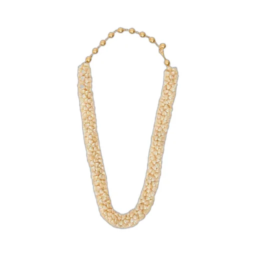 Lobster Clasp Necklace