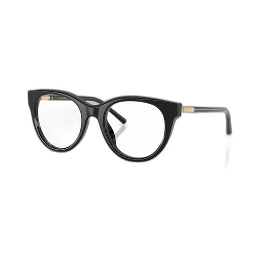 Dolce & Gabbana Eyewear Oval Frame Glasses