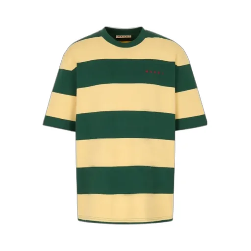 Green And Yellow Maxi-Stripe Cotton T-Shirt