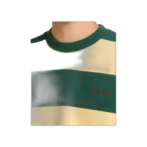 Green And Yellow Maxi-Stripe Cotton T-Shirt