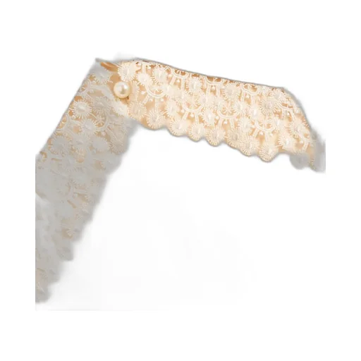 Valentino Lace Detailed V-Neck Shirt