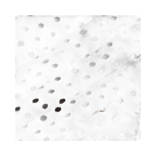 Falena Dots Printed Silk Scarf