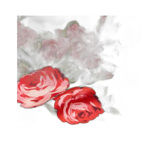 Printed Silk Scarf