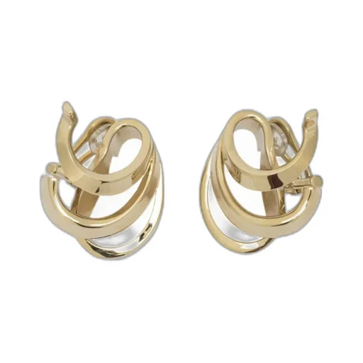 Leafbig Earrings