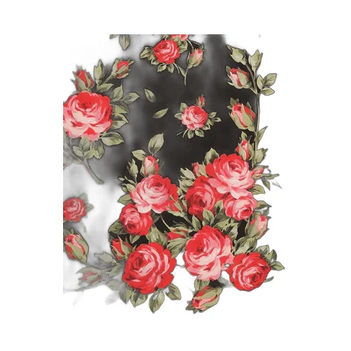 Dolce & Gabbana Rose Bouquet-Printed Twill Scarf