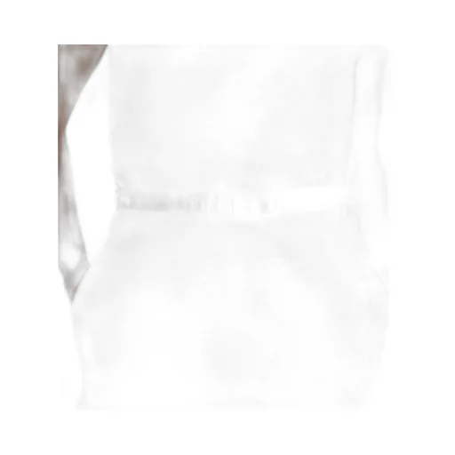 30 Montaigne Belt