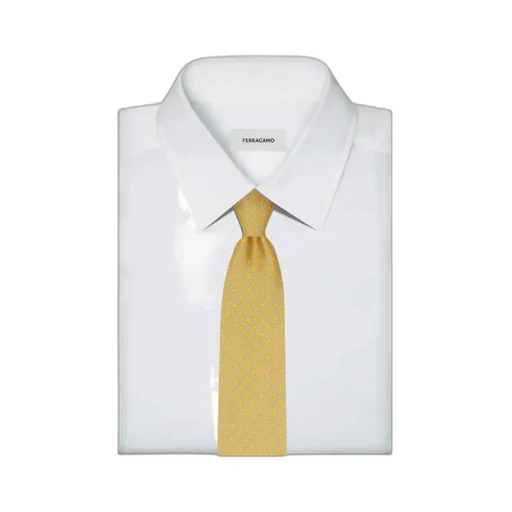 Ferragamo Floral Pattern Tie