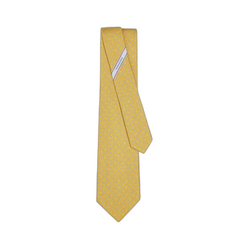 Ferragamo Floral Pattern Tie