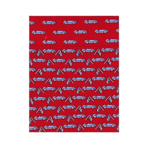 Race Print Silk Tie