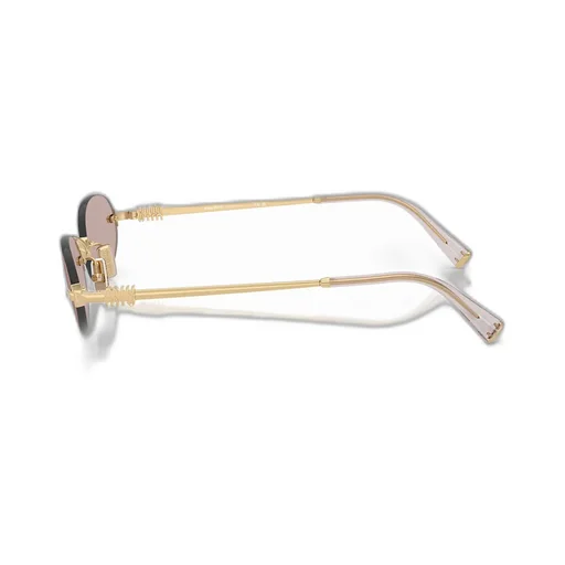 Miu Miu Eyewear Oval Frame Sunglasses