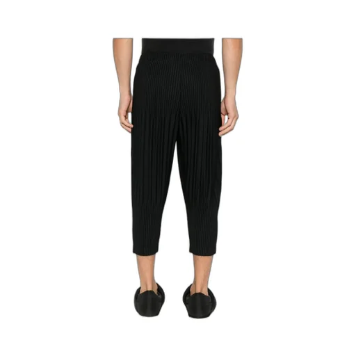 Pleated Trousers