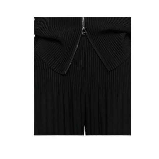 Pleated Trousers