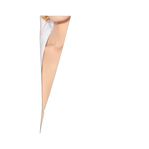 Hooded Poplin Shirt