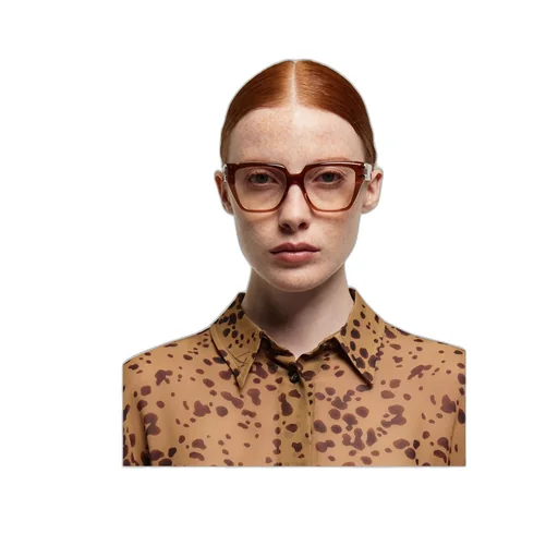 Optical Glasses