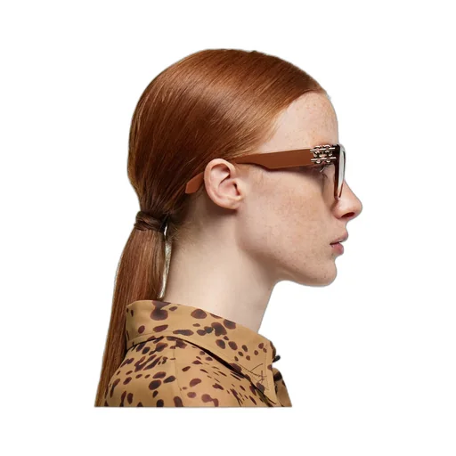 Optical Glasses