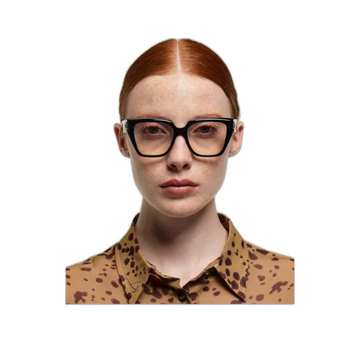 Optical Glasses