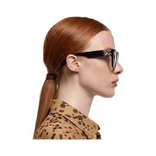 Optical Glasses