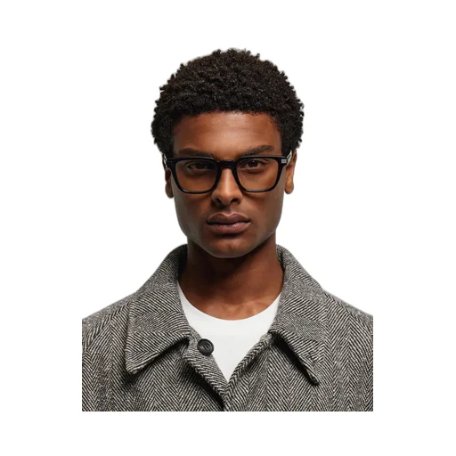 Optical Glasses