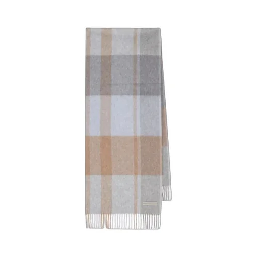 Zegna Checked Fringed Scarf