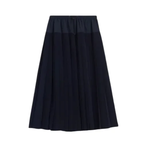 Pleated A-Line Mid-Length Skirt