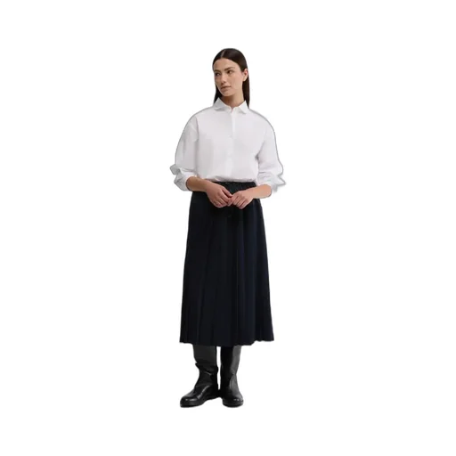 Pleated A-Line Mid-Length Skirt