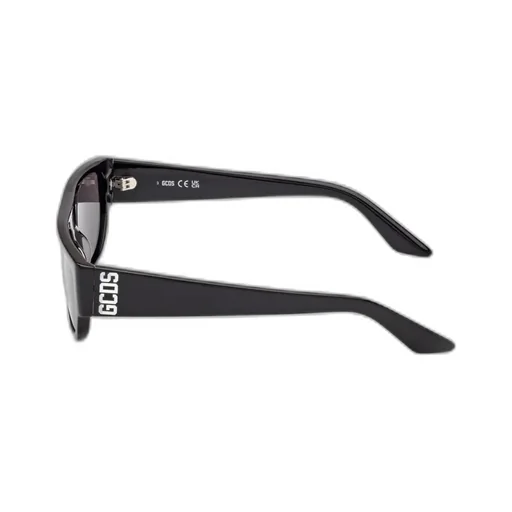 Logo Temple Sunglasses