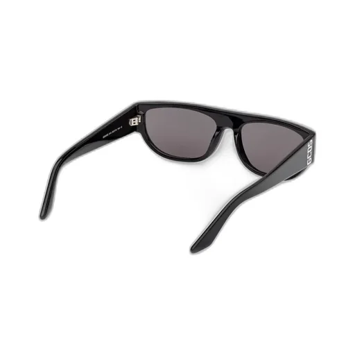 Logo Temple Sunglasses