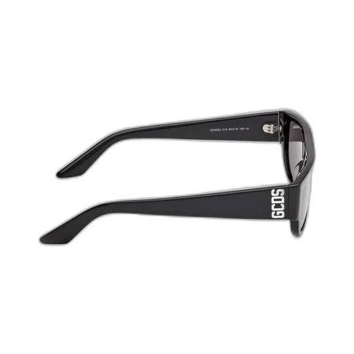 Logo Temple Sunglasses