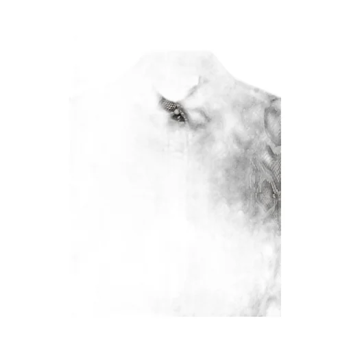 Snake Print Shirt