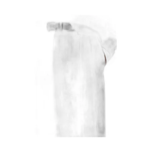 Pleated Trousers