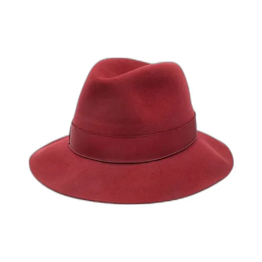 Wide-Brimmed Hat